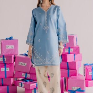 303 heavy daman and sleeves work unstitched dress by Kameez Shop