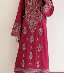 Stunning 2 piece ladies suit Batik 345 pure dhanak 2 piece embroidered winter suit for women