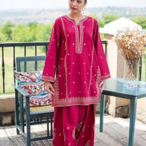 331 heavy daman and sleeves work unstitched dress by Kameez Shop