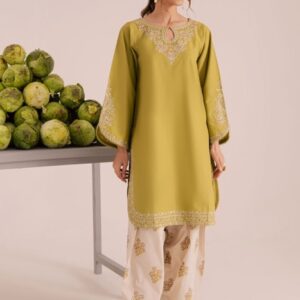 335 premium embroidered trousers matching with unstitched dress by Kameez Shop