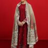 Pakistani traditional embroidered dhanak winter dress
