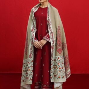 Pakistani traditional embroidered dhanak winter dress