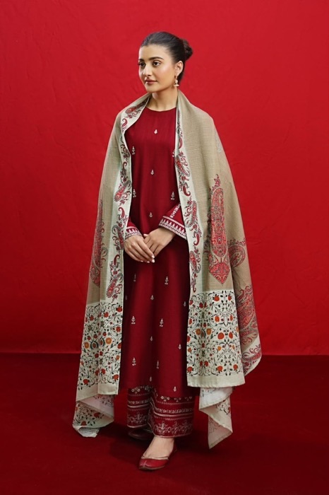 Pakistani traditional embroidered dhanak winter dress