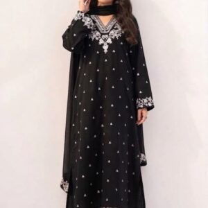Kameez Shop exclusive ladies winter dress in dhanak fabric