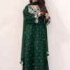 Traditional Pakistani ladies winter outfit in warm dhanak