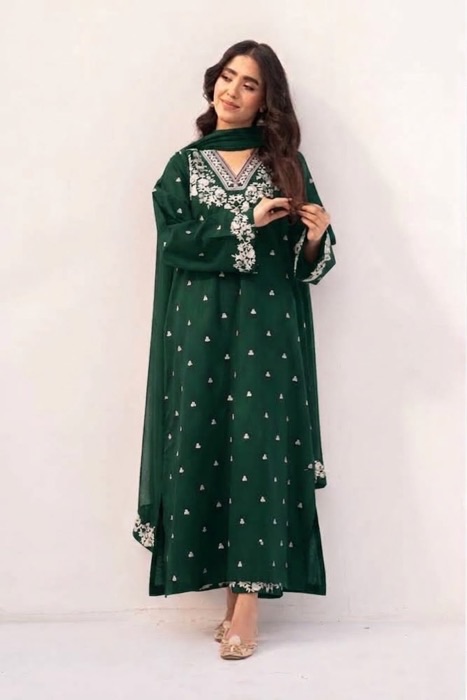 Traditional Pakistani ladies winter outfit in warm dhanak