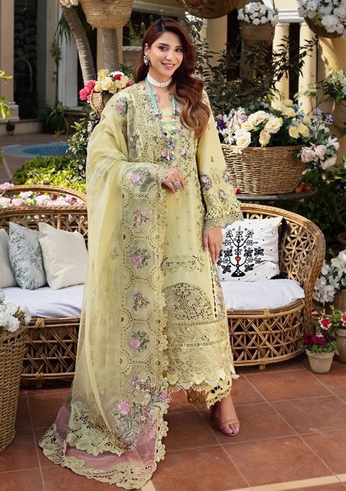 Luxury Zari Detailed Rich Velvet Lehenga Style Ladies Fancy Suit - Exclusive Festive Edition