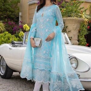 Zardosi Handwork Fine Net Anarkali Suit Heavy Formals - Exclusive Festive Edition